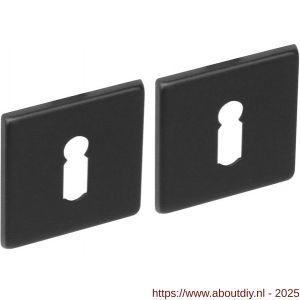 Intersteel Living 3433 sleutelrozetten verdekt 50x50x5 mm structuur zwart - A26011098 - afbeelding 1