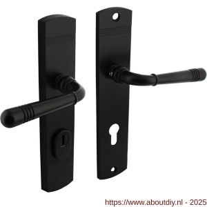 Intersteel Living 3777 achterdeurbeslag Helena 239x50 mm kruk-kruk profielcilindergat 72 mm met kerntrekbeveiliging zwart - A26010801 - afbeelding 1