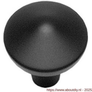 Intersteel Living 8478 meubelknop punt rond diameter 30 mm mat zwart - A26004126 - afbeelding 1