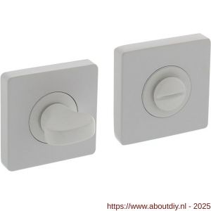 Intersteel Living 3185 WC-sluiting verdekt 55x55x10 mm met nokken en stift 8x8 mm wit - A26009242 - afbeelding 1