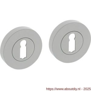 Intersteel Living 3476 sleutelrozetten verdekt diameter 52x10 mm met nokken wit - A26011011 - afbeelding 1