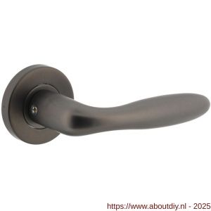 Intersteel 1281 deurkruk gatdeel rechts Jupiter op rozet verdekt diameter 53x8 mm met nokken antraciet grijs - A26010365 - afbeelding 1