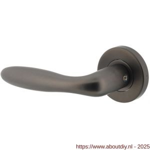 Intersteel 1281 deurkruk gatdeel links Jupiter op rozet verdekt diameter 53x8 mm met nokken antraciet grijs - A26010366 - afbeelding 1