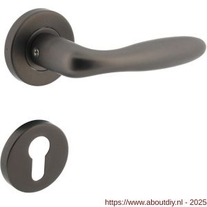 Intersteel 1281 deurkruk Jupiter op rozet verdekt diameter 53x8 mm met nokken en cilinderrozetten antraciet grijs - A26010368 - afbeelding 1