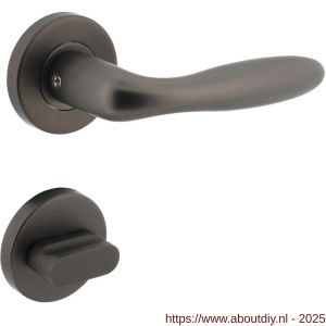 Intersteel 1281 deurkruk Jupiter op rozet verdekt diameter 53x8 mm met nokken en WC-sluiting met stift 8x8 mm antraciet grijs - A26010369 - afbeelding 1