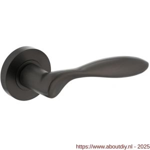 Intersteel Living 1695 deurkruk George op rozet verdekt diameter 52x10 mm met nokken antraciet grijs - A26009985 - afbeelding 1
