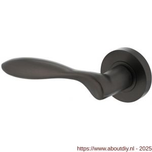 Intersteel 1695 deurkruk gatdeel links George op rozet verdekt diameter 52x10 mm met nokken antraciet grijs - A26010376 - afbeelding 1