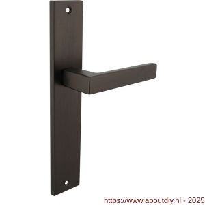 Intersteel 1744 deurkruk gatdeel rechts Hera op schild rechthoekig 245x45 mm blind antraciet grijs - A26010425 - afbeelding 1