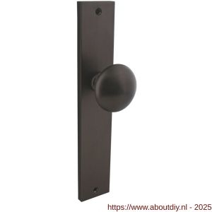 Intersteel Living 2128 knopschild rechthoekig 245x45x8 mm met vaste knop Paddenstoel en wisselstift blind antraciet grijs - A26010437 - afbeelding 1