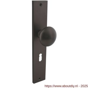 Intersteel Living 2128 knopschild rechthoekig 245x45x8 mm met vaste knop Paddenstoel en wisselstift sleutelgat 56 mm antraciet grijs - A26010438 - afbeelding 1