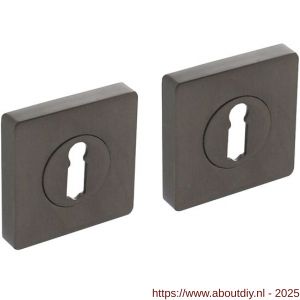 Intersteel Living 3185 sleutelrozetten verdekt 55x55x10 mm met nokken antraciet grijs - A26011015 - afbeelding 1