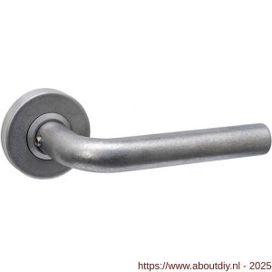 Intersteel 0570 deurkruk gatdeel Luzern op rozet verdekt diameter 53x10 mm RVS getrommeld - A26011272 - afbeelding 1
