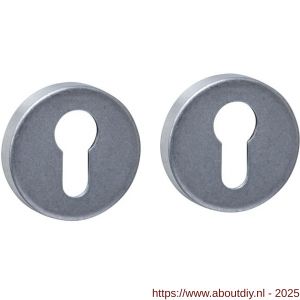 Intersteel 3410 cilinderrozetten verdekt diameter 53x9 mm RVS getrommeld - A26010860 - afbeelding 1