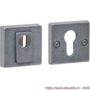 Intersteel 3755 SKG3 veiligheidsrozetten vierkant 54x54x12 mm profielcilindergat met kerntrekbeveiliging RVS getrommeld - A26010858 - afbeelding 1