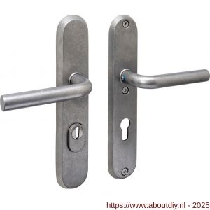 Intersteel 3787 SKG3 veiligheidsbeslag ovaal 250x50 mm kruk-kruk Luzern met veerconstructie profielcilindergat 72 mm met kerntrekbeveiliging RVS getrommeld - A26010857 - afbeelding 1