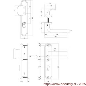 Intersteel 3788 SKG3 veiligheidsbeslag ovaal 250x50 mm greep-kruk Luzern met veerconstructie profielcilindergat 72 mm met kerntrekbeveiliging RVS getrommeld - A26010855 - afbeelding 2