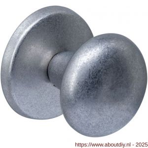 Intersteel 3930 voordeurknop Paddenstoel diameter 58 mm op achterplaat diameter 66 mm éénzijdige montage RVS getrommeld - A26010853 - afbeelding 1