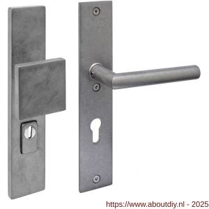 Intersteel 3962 SKG3 veiligheidsbeslag rechthoekig 250x50 mm greep-kruk Jura profielcilindergat 72 mm met kerntrekbeveiliging RVS getrommeld - A26010850 - afbeelding 1