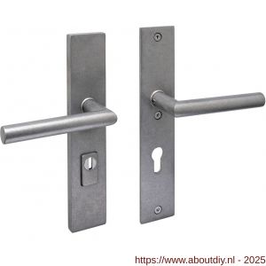 Intersteel 3964 SKG3 veiligheidsbeslag rechthoekig 250x50 mm kruk-kruk Jura met veerconstructie profielcilindergat 72 mm met kerntrekbeveiliging RVS getrommeld - A26010848 - afbeelding 1