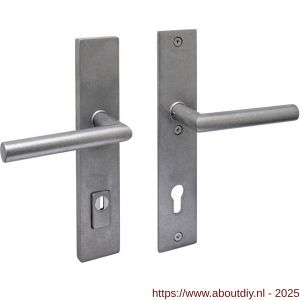 Intersteel 3964 SKG3 veiligheidsbeslag rechthoekig 250x50 mm kruk-kruk Jura met veerconstructie profielcilindergat 92 mm met kerntrekbeveiliging RVS getrommeld - A26010847 - afbeelding 1