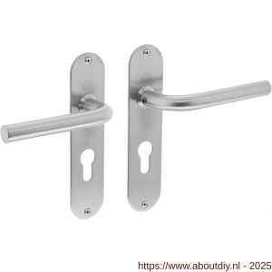 Intersteel 0566 deurkruk Recht diameter 16 mm op schild ovaal 175x41x2 mm profielcilindergat 55 mm RVS - A26000701 - afbeelding 1