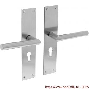 Intersteel Essentials 0583 deurkruk Jura met schild rechthoekig 250x55x2 mm profielcilindergat 55 mm RVS - A26008404 - afbeelding 1