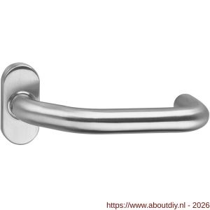Intersteel Living 0602 deurkruk Verkropt op rozet verdekt ovaal 65x30x10 mm RVS - A26000484 - afbeelding 1