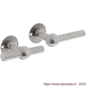 Intersteel Living 0633 deurkruk L/T bol met rozet diameter 42x2 mm RVS - A26010127 - afbeelding 1