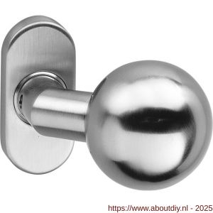 Intersteel 0773 deurkruk gatdeel Bol brandvertragend 9 mm op rozet verdekt ovaal 65x30x10 mm RVS - A26000959 - afbeelding 1
