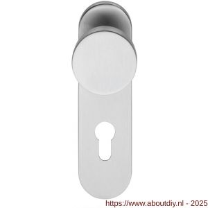Intersteel 0778 knopschild ovaal verdekt brandvertragend 170x47x8 mm met vaste knop plat en wisselstift 9 mm profielcilindergat 72 mm RVS - A26000972 - afbeelding 1