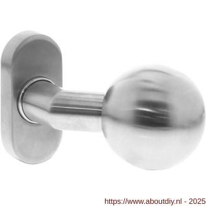 Intersteel 0779 knop 077902 bol-schuin brand vertragend vast op rozet ovaal 65x30x10 mm tapgat M6 RVS - A26000973 - afbeelding 1