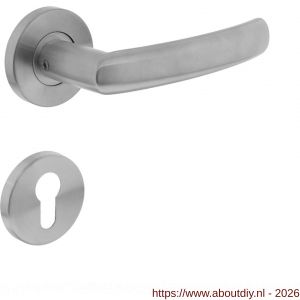 Intersteel 0906 deurkruk Blok op rozet verdekt diameter 55x8 mm met nokken en cilinderrozetten RVS - A26000573 - afbeelding 1