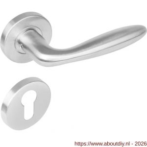 Intersteel 1281 deurkruk Jupiter op rozet verdekt diameter 53x8 mm met nokken en cilinderrozetten RVS - A26000627 - afbeelding 1