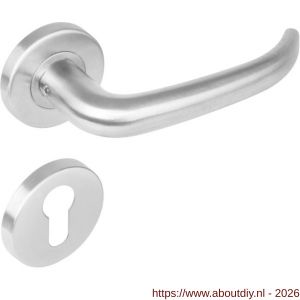 Intersteel 1282 deurkruk Sabel op rozet verdekt diameter 53x8 mm met nokken en cilinderrozetten RVS - A26000632 - afbeelding 1