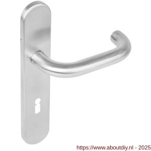 Intersteel Living 1295 deurkruk Rond op schild verdekt ovaal 219x40 mm met nokken sleutelgat 72 mm RVS EN 1906/4 - A26005651 - afbeelding 1