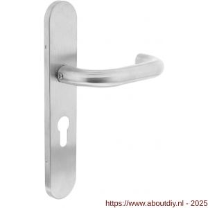 Intersteel 1295 deurkruk gatdeel links Rond op schild verdekt ovaal 219x40 mm met nokken profielcilindergat 55 mm RVS EN 1906/4 - A26005655 - afbeelding 1
