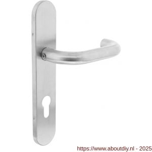 Intersteel Living 1295 deurkruk Rond op schild verdekt ovaal 219x40 mm met nokken profielcilindergat 72 mm RVS EN 1906/4 - A26005656 - afbeelding 1