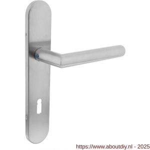Intersteel Living 1297 deurkruk Jura op schild verdekt ovaal 219x40 mm met nokken sleutelgat 72 mm RVS EN 1906/4 - A26005680 - afbeelding 1