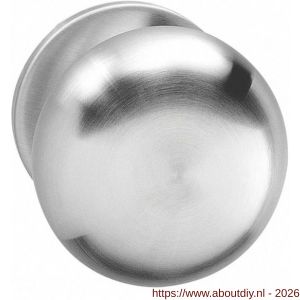 Intersteel 2165 knop Paddenstoel vast op rozet verdekt 4 mm RVS - A26001003 - afbeelding 1