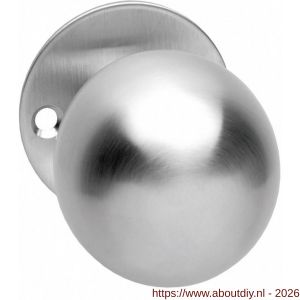 Intersteel 2165 knop bol vast op rozet 2 mm RVS - A26000996 - afbeelding 1