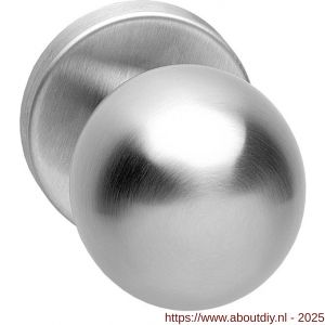 Intersteel 2165 knop bol vast op rozet 10 mm verdekt RVS - A26000998 - afbeelding 1