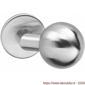 Intersteel 2165 knop bol-schuin vast op rozet verdekt 4 mm RVS - A26001000 - afbeelding 1