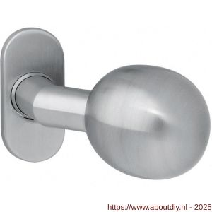 Intersteel 2165 knop bol-schuin vast op rozet ovaal 4 mm RVS - A26001001 - afbeelding 1