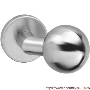 Intersteel 2165 knop bol-schuin vast op rozet verdekt 10 mm RVS - A26007404 - afbeelding 1