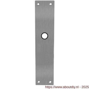 Intersteel 2688 schild renovatie rechthoekig 250x55x2 mm blind RVS - A26005852 - afbeelding 1