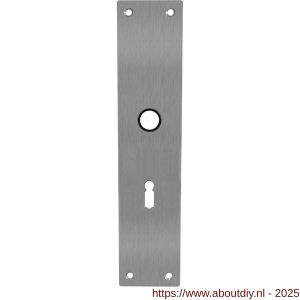 Intersteel 2688 schild renovatie rechthoekig 250x55x2 mm sleutelgat 56 mm RVS - A26005853 - afbeelding 1