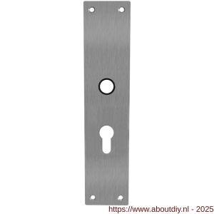 Intersteel 2688 schild renovatie rechthoekig 250x55x2 mm PC55 RVS - A26007070 - afbeelding 1