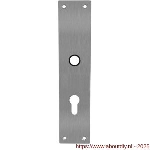 Intersteel 2688 schild renovatie rechthoekig 250x55x2 mm profielcilindergat 72 mm RVS - A26005855 - afbeelding 1