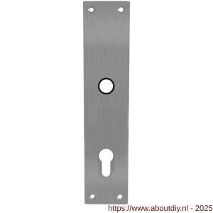 Intersteel 2688 schild renovatie rechthoekig 250x55x2 mm profielcilindergat 92 mm RVS - A26005856 - afbeelding 1