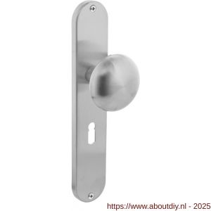 Intersteel Essentials 2695 knopschild ovaal 220x41x8 mm met vaste knop Paddenstoel sleutelgat 56 mm RVS - A26003331 - afbeelding 1